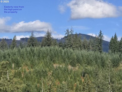 1051 Skamania Mines Rd, Washougal, WA 98671 - photo 5