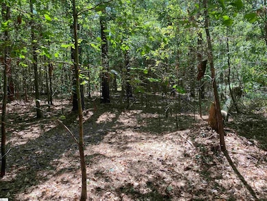 0 Sandy Springs Rd, Pelzer, SC 29669 - photo 5