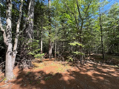 Lot 5 School St, Belfast, ME 04915 - photo 2