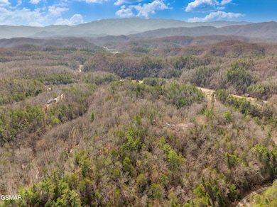 Tr1-4 Mossy Cove Way, Sevierville, TN 37876 - photo 3