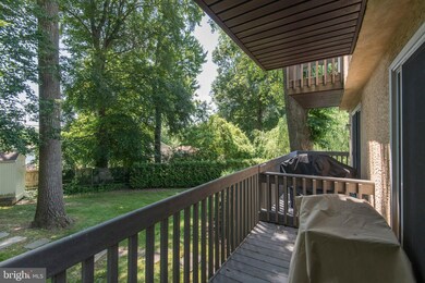 115 Morton Ave unit B, Broomall, PA 19008 - photo 6