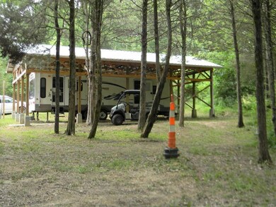 Nestled among the trees