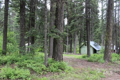 443 David Creek Rd, Cascade, ID 83611 - photo 5