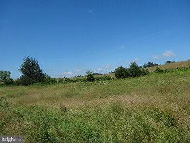 4 Meadow View Ln, Rixeyville, VA 22737 - photo 5