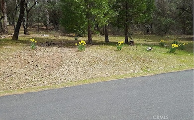 13279 Thoroughbred Loop, Grass Valley, CA 95949 - photo 2