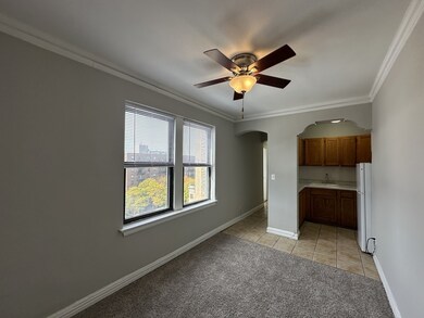 661 W Sheridan Rd unit 801, Chicago, IL 60613 - photo 6