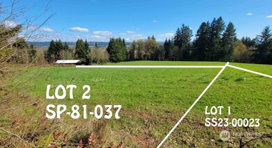 200 Fineview Rd, Centralia, WA 98532 - photo 4