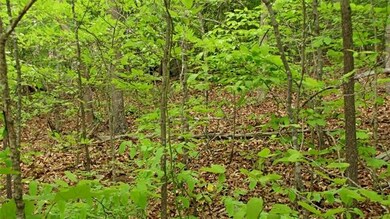 Spring Leaves