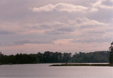 24 Pine Cove Cir unit 24/25, Belle Haven, VA 23306 - photo 6