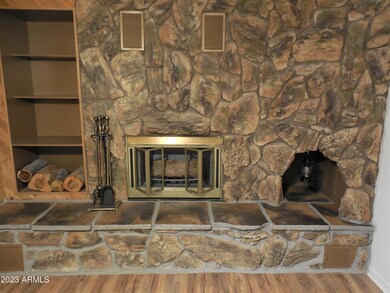 WHOLE HOUSE FIREPLACE