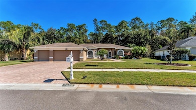 2565 Appaloosa Trail, Palm Harbor, FL 34685 - photo 3