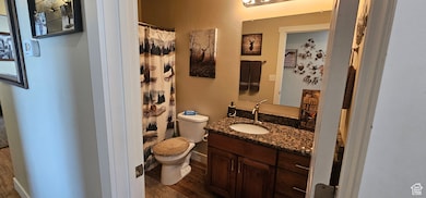 Bathroom with vanity, dark wood-style floors, and a shower with curtain