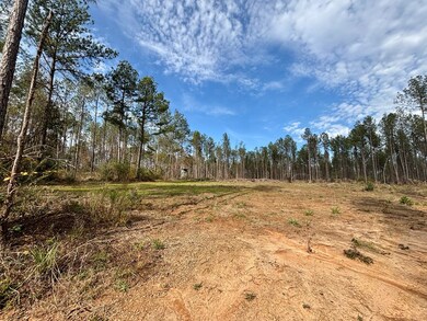 tbd Wall St, Osyka, MS 39657 - photo 4
