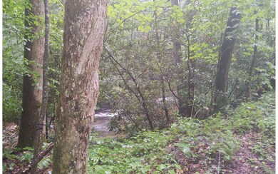 Additional View