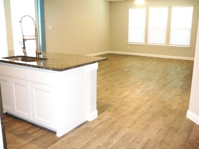 1532 Seabiscuit Dr, Granbury, TX 76049 - photo 5