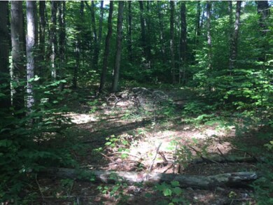 1523 Mcmillan Rd, Halifax, VT 05342 - photo 4