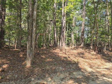 15 Dyches Rd, Grovetown, GA 30813 - photo 2