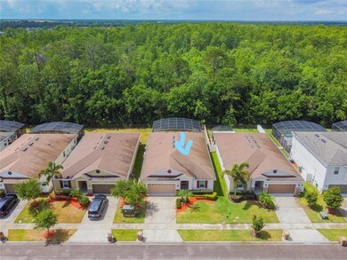 4714 Blue Diamond St, Kissimmee, FL 34746 - photo 5