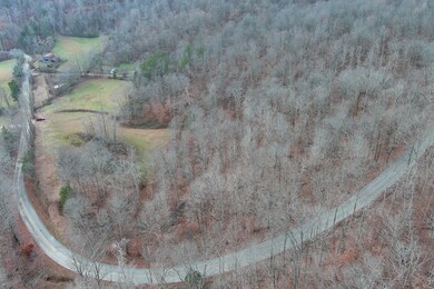 8425 Board Valley Rd, Sparta, TN 38583 - photo 6