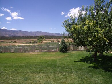Total Private Backyard