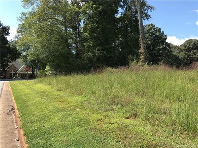 000 Doe Run Ln, Statesville, NC 28625 - photo 2