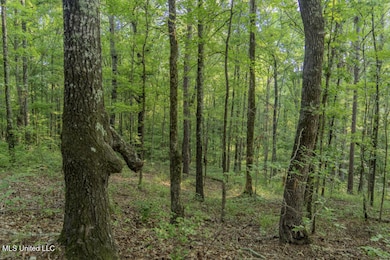 1510 Sulphur Springs Rd, Camden, MS 39045 - photo 4