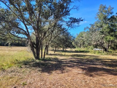 0 Octavia Ln unit 850173, Webster, FL 33597 - photo 6