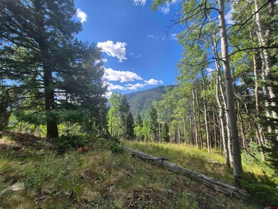 Blk 89 Lots 4-6, Jasper, CO 81144 - photo 7