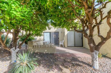 Rear Patio