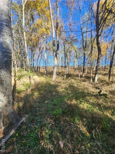 0 County Road 197 (5+ - Acres) unit MIS25074297, Montgomery City, MO 63361 - photo 7