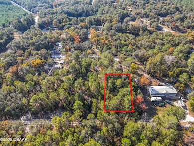 109 Lucas St, Satsuma, FL 32189 - photo 2