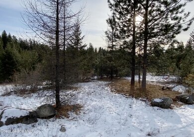 540 Destiny Bay Rd, Sagle, ID 83860 - photo 6