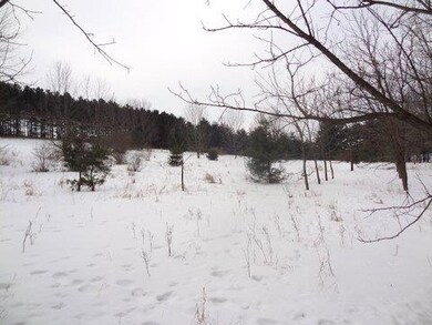 0 Hwy 51 unit 1737845, Dunn, WI 53558 - photo 3