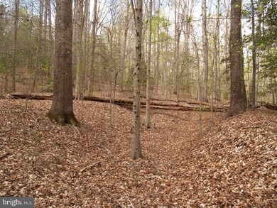 0 Reservation Ln, Reedy Church, VA 22546 - photo 5