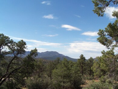 12920 N Quartz Creek Trail, Prescott, AZ 86305 - photo 2