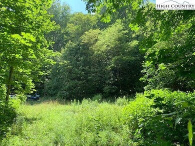 Lot 3 Casey's Gap Rd, Banner Elk, NC 28604 - photo 3