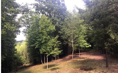 Additional View