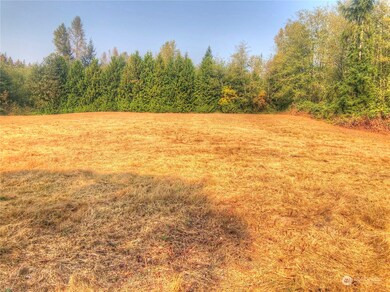 26419 W Sunday Lake Rd, Stanwood, WA 98292 - photo 4