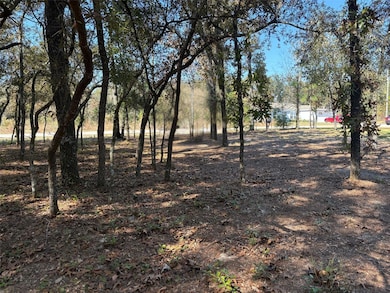 10079 N Ruth Terrace, Citrus Springs, FL 34434 - photo 4