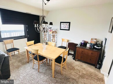 5501 Seminary Rd unit 1502S, Baileys Crossroads, VA 22041 - photo 5