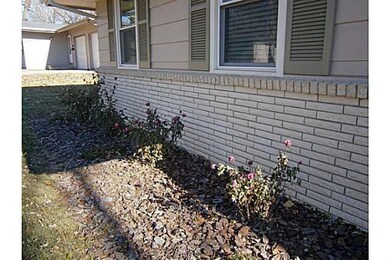 Yard/Garden.