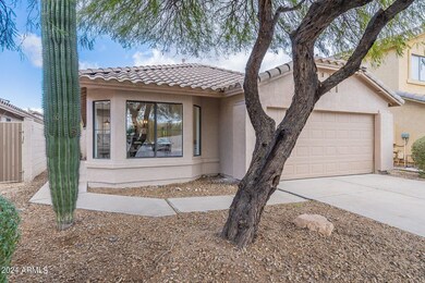 4-web-or-mls-Blackhawk-4