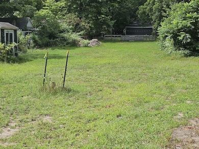 125 Adams St, Allegan, MI 49010 - photo 3