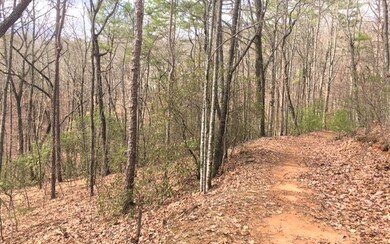 LT 15 Pinson Ln, Ellijay, GA 30540 - photo 4