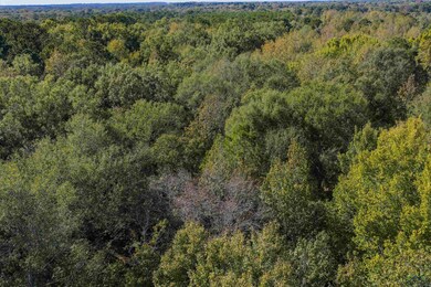 TBD Hwy 49 unit CR 3422, Jefferson, TX 75657 - photo 7