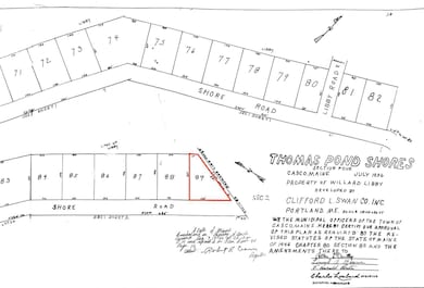 Lot 19 Thomas Pond Shore Rd, Casco, ME 04015 - photo 2