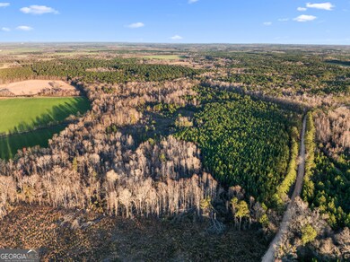 0 Thomas Rd unit 10647908, Millen, GA 30442 - photo 4