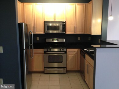 Silverton Condominiums, Silver Spring, MD 20910 - photo 3