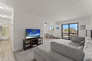 4407 Wilshire Blvd unit 204, Mound, MN 55364 - photo 7