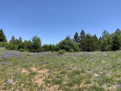 000 Peak View Ridge unit 6, Canon City, CO 81212 - photo 4